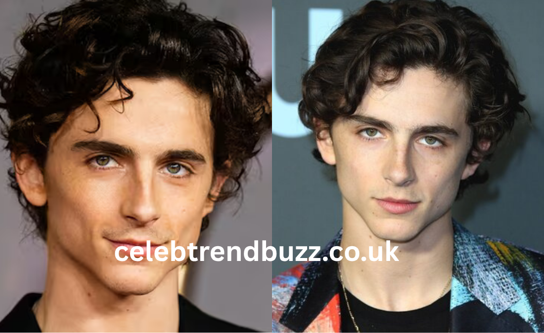 timothée chalamet